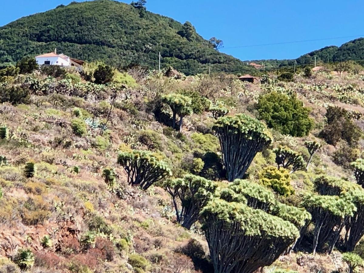 Casa Rural Los Barranquitos Garafia ภายนอก รูปภาพ